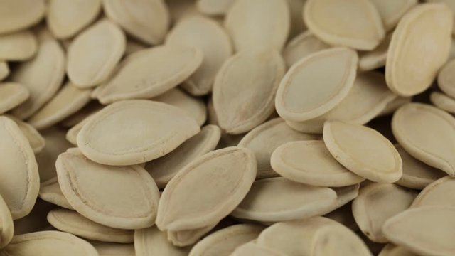 Semi di zucca