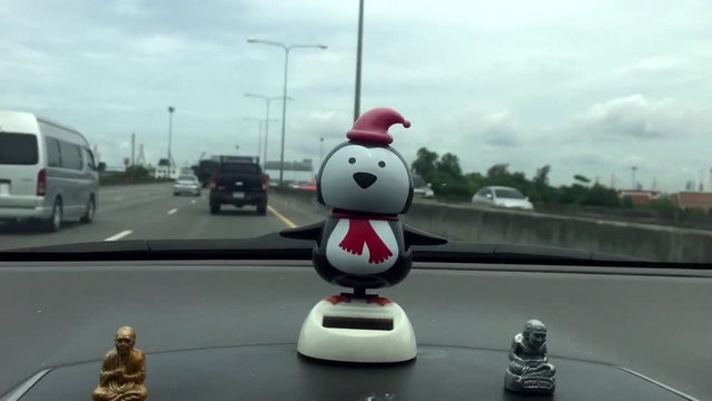 Going - knocking penguin