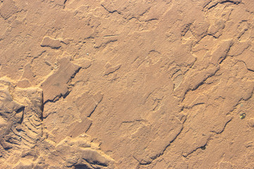 Stone background texture background natural stone close-up