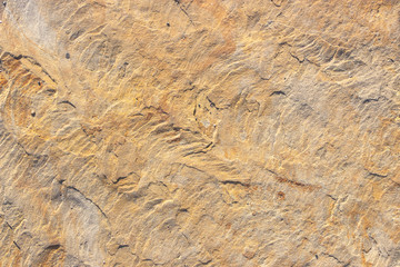 Stone background texture background natural stone close-up