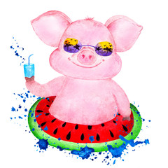 Cute pig. Watercolor illustrations drawn by hand.
Portrait of a pink pig. Pig on an inflatable circle in a spray of waves. Illustration for printing on t-shirts.