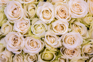 Obraz na płótnie Canvas romantic background of light roses