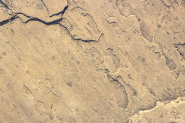 Stone background texture background natural stone close-up