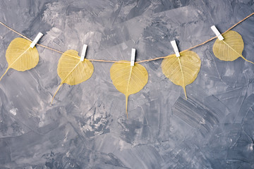 Autumn yellow leaves hanging with clothespins on grey background. Flat lay, top view, copy space. Fall composition.