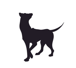dog stands, silhouette, vector