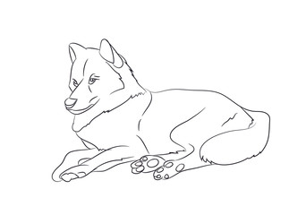 wolf lies, lines, vector