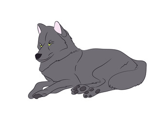 wolf asleep, color, vector