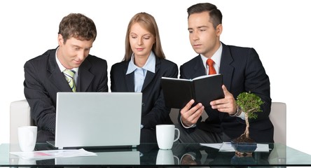 Portrait of Business People Working with Laptop