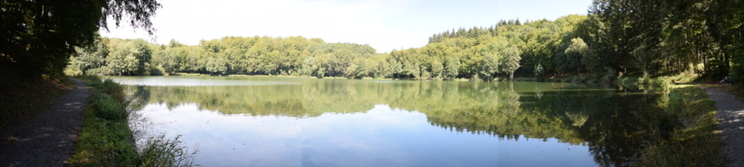 spiegelnder Waldsee, Holzmaar © Markus Volk