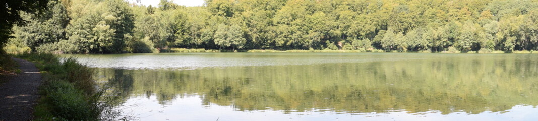 spiegelnder Waldsee, Holzmaar © Markus Volk