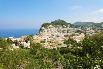 Obraz premium Panoramic view of houses in Capri Island between branches trees