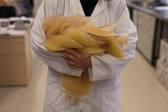 Laboratory technician holding samples