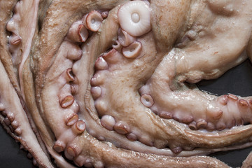 Obraz premium Close up of raw octopus from above.