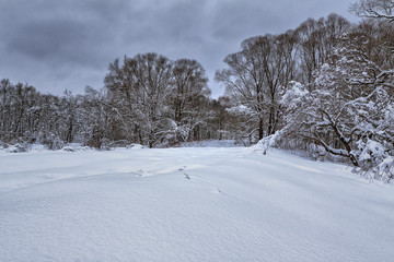 Fototapeta na wymiar Winter forest with very much snow