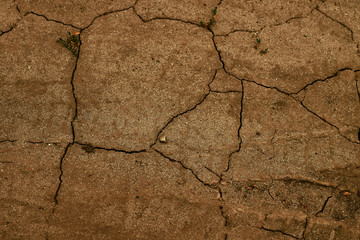 crack dry soil texture drought season background top view
