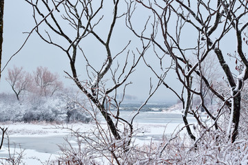 bord de l'eau hiver