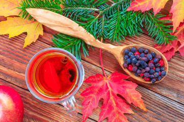 still life with tea cinnamon and lemon, ripe apples, red autumn maple leaves, fir branch and hawthorn berries in a wooden spoon on table closeup top view