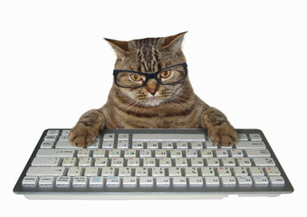 The cat in glasses presses the keys of a computer keyboard. White background.