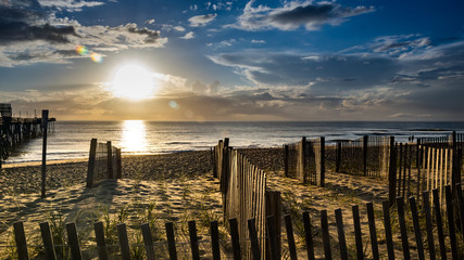 Erosion fencing and plants help protect the dunes from the constant ocean breeze and storm surge....