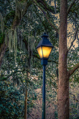 Traditional Lamp Post by Tree and Spanish Moss