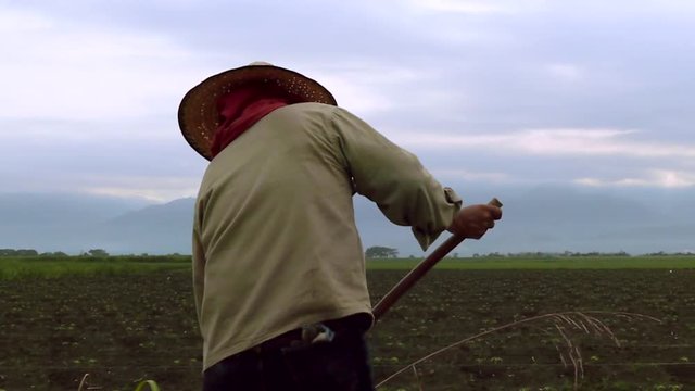 Campesinos labrando la tierra