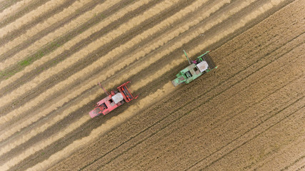 aerial view of combine harvester harvesting hay in rural Ireland