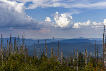 View to Dreisessel, Trojmezi and Trojmezna hills with forests destroyed by bark beetle infestation...