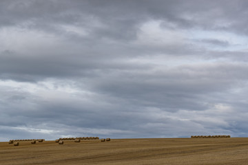 Fototapeta premium harvested Hay bales in a field with dark grey rain cloud sky background