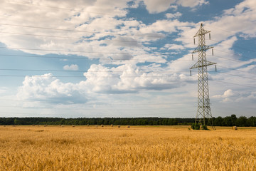 crop field with dramatic sky and a electicity pylon