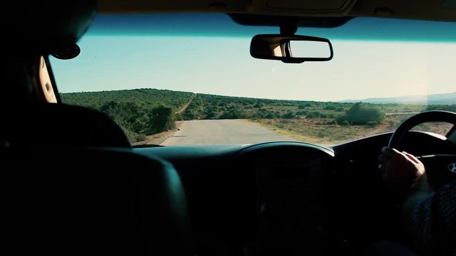 footages from south africa, wild animals taken in 2018