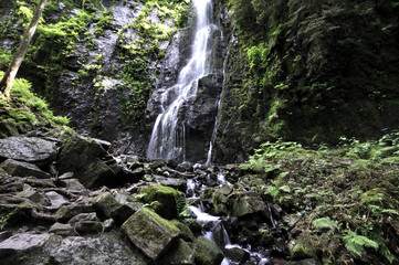 Fototapeta na wymiar Burgbachwasserfall 