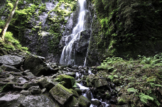 Burgbachwasserfall 