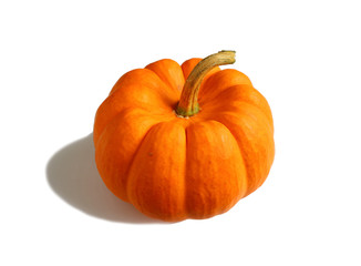 Vibrant Orange Color Ripe Pumpkin Isolated on White Background 