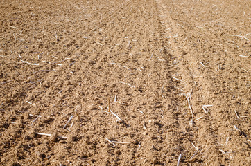 rural ground background