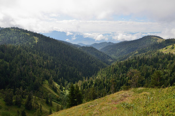 Fototapeta na wymiar Treking in the mountains of the Borjomi-Kharagauli National Park in Lesser Caucasus. Borjomi, Georgia