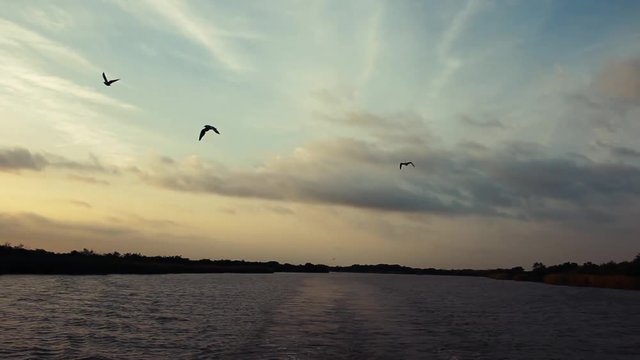 footages from South Africa, wild animals, travel around Eastern Cape, Santa Lucia taken in 2018
