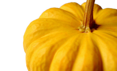 Closed Up Vivid Yellow Color Ripe Pumpkin Isolated on White Background 