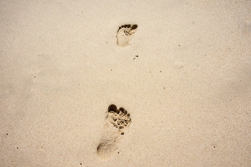 Footprints on brown sand at tropical beach