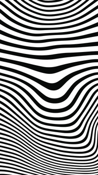abstract background of white and black lines. Distorted Lines