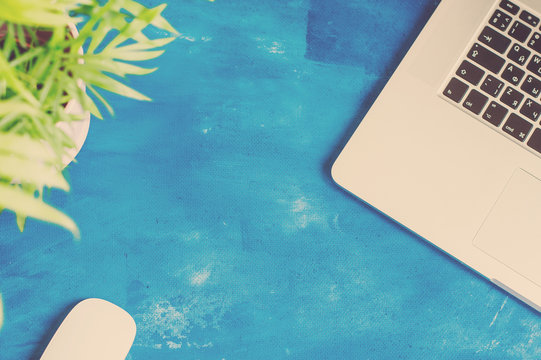 laptop, top view background, flower leaves in pot, cactus, on blue background