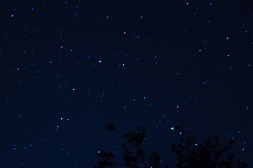 Long exposure night photo. A lot of stars with trees on foreground. Far from the city. Night landscape.