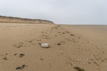 Plastic Rubbish on Brancaster Beach, Norfolk, England 