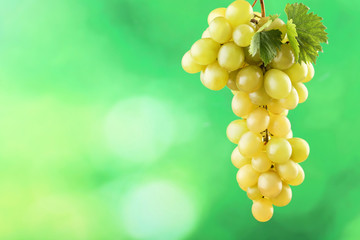 Sweet grape on green background
