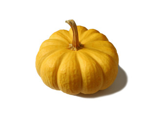 Bright yellow ripe pumpkin with stem isolated on white background 