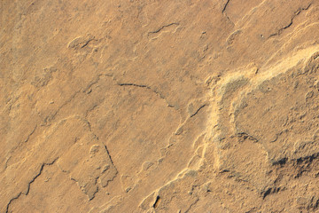 Stone background texture background natural stone close-up