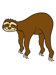 faultier entspannen müde chillen hängen schlafen faul gemütlich langsam lahm tier süß niedlich comic cartoon clipart