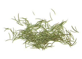 Dried fir needles after christmas isolated over white background