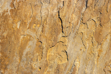 Stone background texture background natural stone close-up
