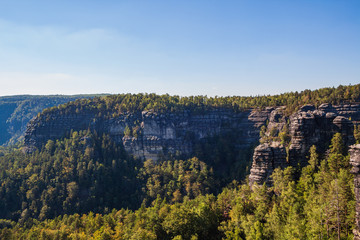 Fototapeta na wymiar Felsenwand aus Sandstein mit Wald