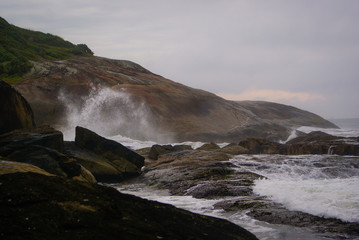 Mares